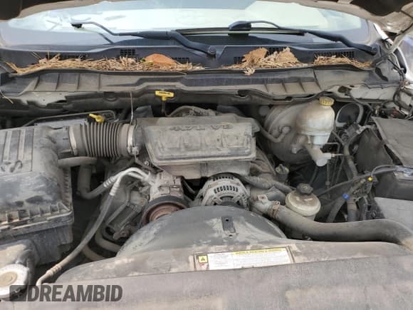 ✅ 2009 Dodge 1500 TRX • VIN: 1D3HV18PX9S770453 • Lot: 58788875. Wystawiony na Copart z przebiegiem 176 277 mil. Bezpłatny archiwum sprzedaży aukcyjnych z USA i szczegółowy raport historii pojazdu na DreamBid. Zdjęcie 11.