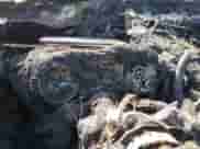 2019 Ram 1500 Limited z VIN 1C6SRFPT2KN829974, wystawiony jako Copart lot #53185135 z przebiegiem Nie podano mil oraz Nie do naprawy • Non repairable. Historia ofert i sprzedaży dostępna na DreamBid. Obrazek 9.