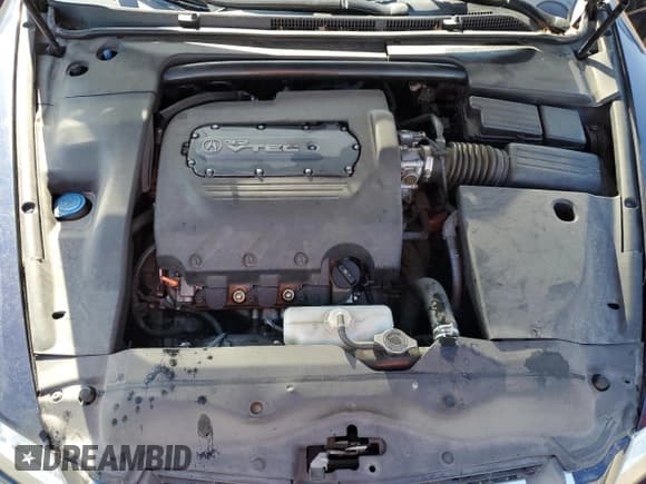 ✅ 2004 Acura TL • VIN: 19UUA66244A030324 • Lot: 82670185. Wystawiony na Copart z przebiegiem 195 028 mil. Bezpłatny archiwum sprzedaży aukcyjnych z USA i szczegółowy raport historii pojazdu na DreamBid. Zdjęcie 11.