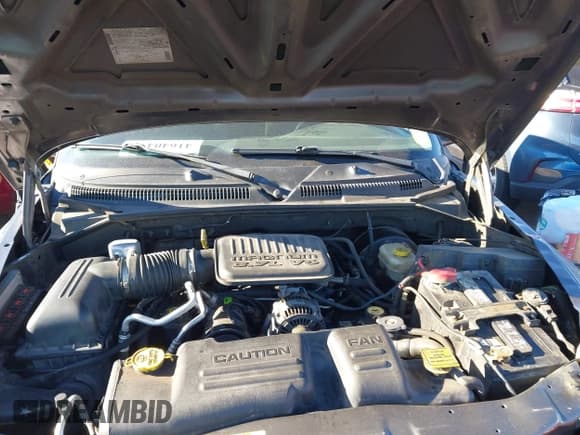 ✅ 2004 Dodge Dakota SLT • VIN: 1D7HG48K44S732241 • Лот: 41640470. Опубликован ранее на IAAI с пробегом 245 363 миль. Бесплатный доступ к архиву аукционных продаж из США и подробный отчёт об истории автомобиля на DreamBid. Изображение 10.