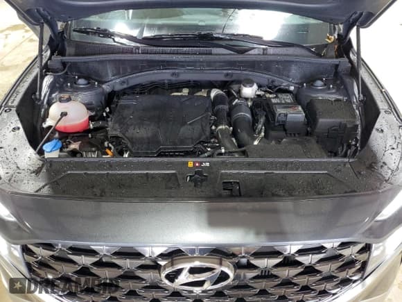 ✅ 2023 Hyundai Santa Fe Calligraphy • VIN: 5NMS5DAL7PH641036 • Lot: 61131115. Wystawiony na Copart z przebiegiem 46 479 mil. Bezpłatny archiwum sprzedaży aukcyjnych z USA i szczegółowy raport historii pojazdu na DreamBid. Zdjęcie 12.