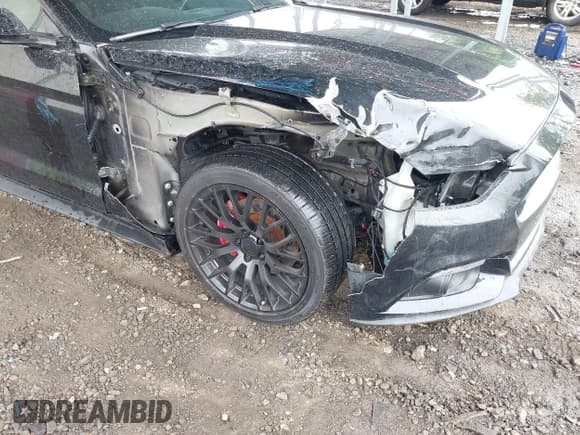 ✅ 2017 Ford Mustang EcoBoost Premium • VIN: 1FA6P8TH2H5212831 • Lot: 42311038. Listed on IAAI with 79,290 mi. Free auction sales archive from the USA and detailed vehicle history report at DreamBid. Image 6.