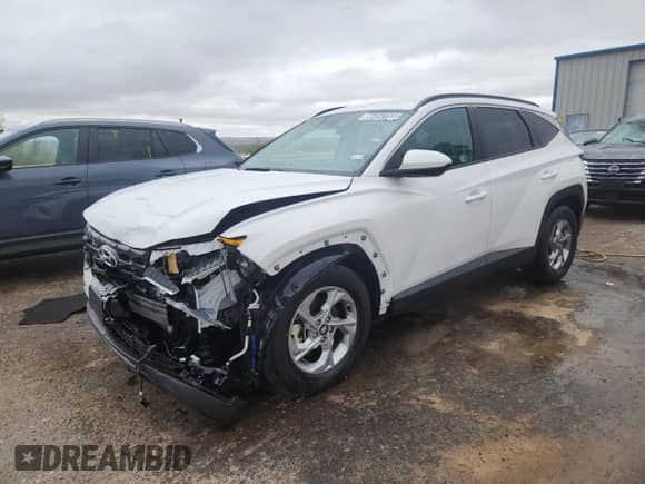 2024 Hyundai Tucson SEL with VIN 5NMJB3DE9RH427566, listed as a Copart auction lot 86454155 with 36,393 mi miles and Clean title. Bid and sale history available at DreamBid. Image 1.