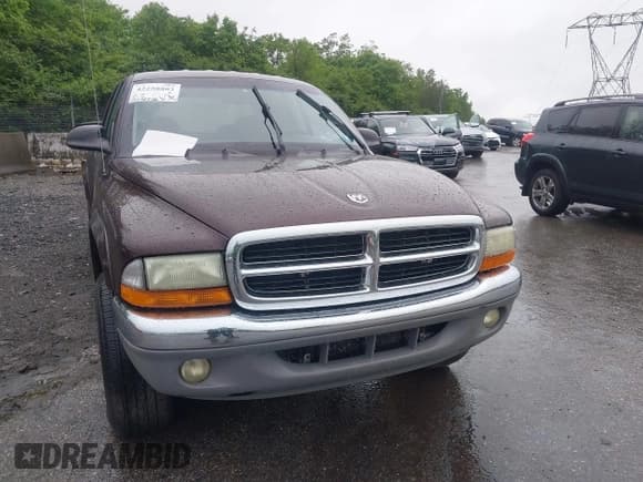 ✅ 2004 Dodge Dakota SLT • VIN: 1D7HG48N04S718220 • Lot: 42258803. Wystawiony na IAAI z przebiegiem 250 757 mil. Bezpłatny archiwum sprzedaży aukcyjnych z USA i szczegółowy raport historii pojazdu na DreamBid. Zdjęcie 6.