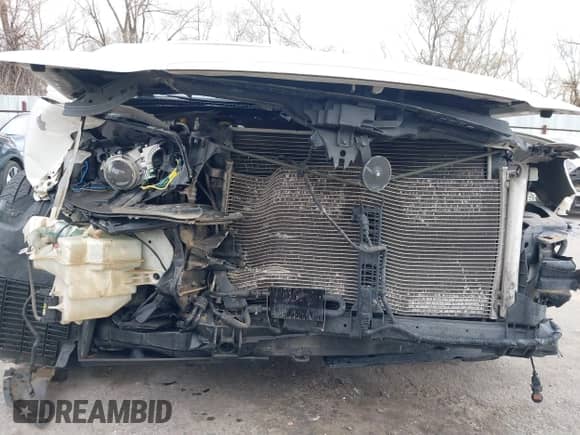 2007 Hyundai Azera SE с VIN KMHFC46F27A232569, выставлен на аукционе IAAI как лот 41906216 с пробегом 158 314 миль миль и . История ставок и продаж доступна на DreamBid. Изображение 6.