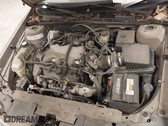 ✅ 1998 Oldsmobile Cutlass GLS • VIN: 1G3NG52M3W6301561 • Lot: 41748646. Wystawiony na IAAI z przebiegiem 108 745 mil. Bezpłatny archiwum sprzedaży aukcyjnych z USA i szczegółowy raport historii pojazdu na DreamBid. Zdjęcie 10.