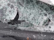 ✅ 2018 Nissan Frontier SV • VIN: 1N6AD0EV9JN737986 • Lot: 42973723. Listed on IAAI with 111,684 mi. Free auction sales archive from the USA and detailed vehicle history report at DreamBid. Image 9.