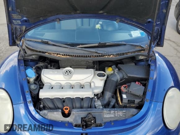✅ 2007 Volkswagen Beetle • VIN: 3VWRF31Y77M416451 • Lot: 87382984. Listed on Copart with Not provided. Free auction sales archive from the USA and detailed vehicle history report at DreamBid. Image 11.