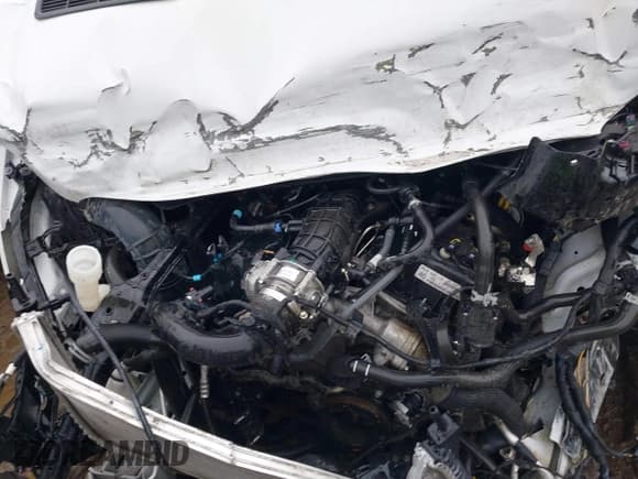 ✅ 2024 Ford Transit Passenger XL • VIN: 1FBAX2YG9RKA12439 • Lot: 41673862. Wystawiony na IAAI z przebiegiem Nie podano. Bezpłatny archiwum sprzedaży aukcyjnych z USA i szczegółowy raport historii pojazdu na DreamBid. Zdjęcie 10.