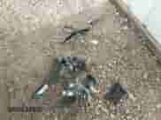 2019 Chevrolet Malibu LS с VIN 1G1ZC5ST3KF134352, выставлен на аукционе IAAI как лот 43199628 с пробегом 73 892 миль миль и . История ставок и продаж доступна на DreamBid. Изображение 12.