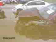 2005 Hyundai Sonata GL with VIN KMHWF25S65A153459, listed as a IAAI auction lot 42458409 with 98,914 mi miles and . Bid and sale history available at DreamBid. Image 17.