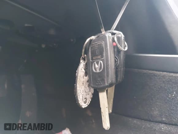 ✅ 2009 Acura TL • VIN: 19UUA86259A022106 • Lot: 42919405. Listed on IAAI with Not provided. Free auction sales archive from the USA and detailed vehicle history report at DreamBid. Image 11.