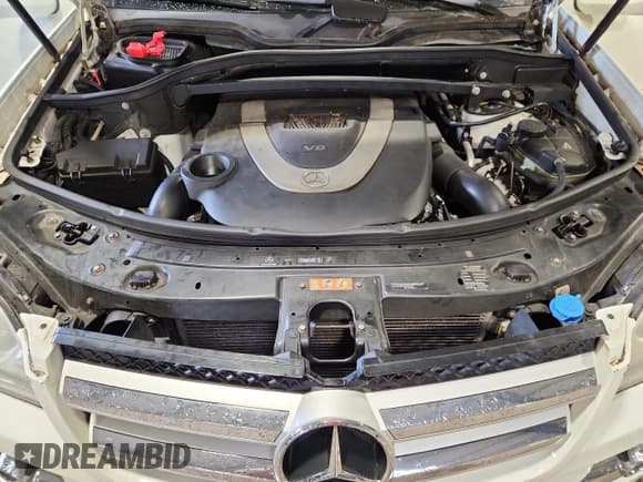 ✅ 2010 Mercedes-Benz GL 450 • VIN: 4JGBF7BE2AA558920 • Lot: 69227265. Listed on Copart with 168,970 mi. Free auction sales archive from the USA and detailed vehicle history report at DreamBid. Image 12.