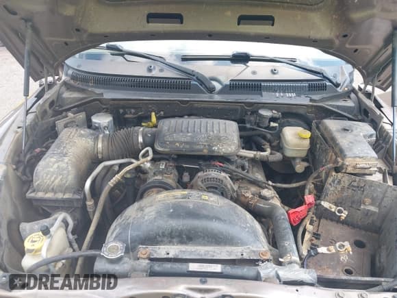 ✅ 2010 Dodge Dakota Bighorn/Lonestar • VIN: 1D7CW3GK3AS130838 • Lot: 42473115. Wystawiony na IAAI z przebiegiem 205 215 mil. Bezpłatny archiwum sprzedaży aukcyjnych z USA i szczegółowy raport historii pojazdu na DreamBid. Zdjęcie 10.