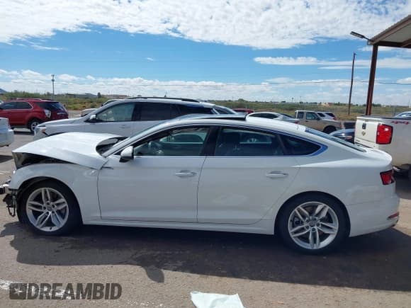 ✅ 2019 Audi A5 Sportback Premium • VIN: WAUANCF57KA055369 • Lot: 43323744. Wystawiony na IAAI z przebiegiem 96 912 mil. Bezpłatny archiwum sprzedaży aukcyjnych z USA i szczegółowy raport historii pojazdu na DreamBid. Zdjęcie 14.