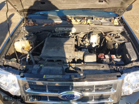 ✅ 2010 Ford Escape Limited • VIN: 1FMCU9EGXAKB80035 • Lot: 43565237. Listed on IAAI with 156,901 mi. Free auction sales archive from the USA and detailed vehicle history report at DreamBid. Image 10.