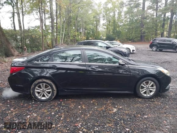 ✅ 2014 Hyundai Sonata GLS • VIN: 5NPEB4AC1EH830416 • Лот: 43452673. Опубликован ранее на IAAI с пробегом 186 826 миль. Бесплатный доступ к архиву аукционных продаж из США и подробный отчёт об истории автомобиля на DreamBid. Изображение 13.