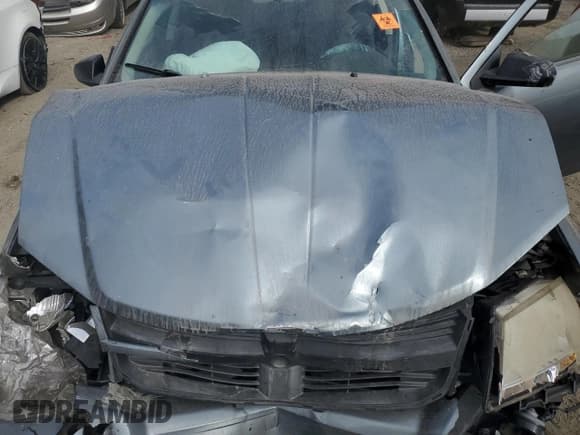 ✅ 2009 Dodge Avenger SE • VIN: 1B3LC46B89N535048 • Lot: 78823584. Wystawiony na Copart z przebiegiem 251 827 mil. Bezpłatny archiwum sprzedaży aukcyjnych z USA i szczegółowy raport historii pojazdu na DreamBid. Zdjęcie 11.