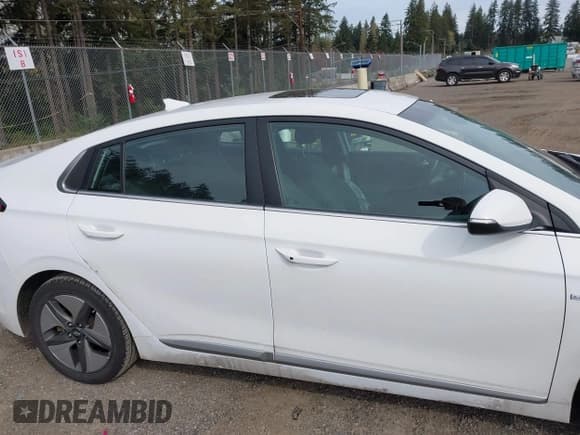 ✅ 2020 Hyundai Ioniq Preferred • VIN: KMHC85LC8LU234193 • Lot: 42011284. Wystawiony na IAAI z przebiegiem 44 168 mil. Bezpłatny archiwum sprzedaży aukcyjnych z USA i szczegółowy raport historii pojazdu na DreamBid. Zdjęcie 13.