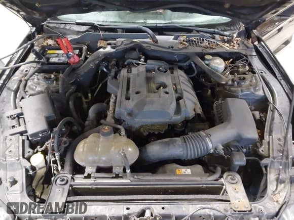 ✅ 2016 Ford Mustang EcoBoost • VIN: 1FA6P8THXG5204636 • Lot: 43691621. Wystawiony na IAAI z przebiegiem 92 358 mil. Bezpłatny archiwum sprzedaży aukcyjnych z USA i szczegółowy raport historii pojazdu na DreamBid. Zdjęcie 10.