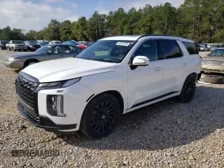 ✅ 2024 Hyundai Palisade Calligraphy • VIN: KM8R7DGE1RU690452 • Лот: 45287085. Опубликован ранее на Copart с пробегом 20 240 миль. Бесплатный доступ к архиву аукционных продаж из США и подробный отчёт об истории автомобиля на DreamBid. Изображение 1.