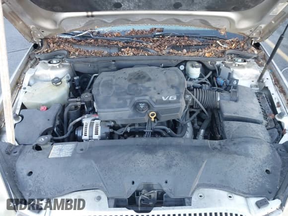 ✅ 2009 Buick Lucerne CXL-5 • VIN: 1G4HD57M29U117805 • Лот: 43700444. Опубликован ранее на IAAI с пробегом 194 832 миль. Бесплатный доступ к архиву аукционных продаж из США и подробный отчёт об истории автомобиля на DreamBid. Изображение 10.