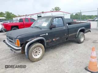 1987 Dodge Dakota z VIN 1B7GR14M2HS417062, wystawiony jako IAAI lot #43035917 z przebiegiem 189 633 mil mil oraz . Historia ofert i sprzedaży dostępna na DreamBid. Obrazek 2.