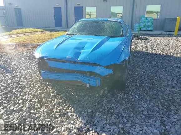 ✅ 2017 Ford Mustang V6 • VIN: 1FA6P8AM9H5311873 • Lot: 86727355. Listed on Copart with 86,010 mi. Free auction sales archive from the USA and detailed vehicle history report at DreamBid. Image 14.