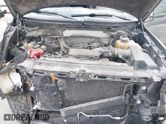 ✅ 2012 Ford F-150 Lariat • VIN: 1FTFW1EFXCFC05418 • Lot: 42330857. Wystawiony na IAAI z przebiegiem 118 094 mil. Bezpłatny archiwum sprzedaży aukcyjnych z USA i szczegółowy raport historii pojazdu na DreamBid. Zdjęcie 10.