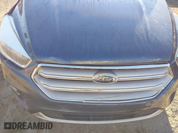 ✅ 2018 Ford Escape SE • VIN: 1FMCU9GD1JUA05082 • Лот: 43401374. Опубликован ранее на IAAI с пробегом 113 049 миль. Бесплатный доступ к архиву аукционных продаж из США и подробный отчёт об истории автомобиля на DreamBid. Изображение 6.