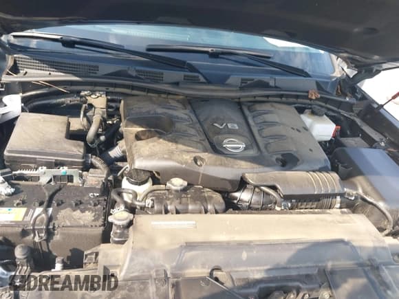 ✅ 2024 Nissan Armada SV • VIN: JN8AY2AC8R9195618 • Лот: 42691383. Опубликован ранее на IAAI с пробегом Не указан. Бесплатный доступ к архиву аукционных продаж из США и подробный отчёт об истории автомобиля на DreamBid. Изображение 10.