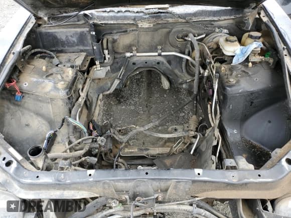 ✅ 2005 Cadillac CTS-V • VIN: 1G6DN56S650161603 • Лот: 65749025. Опубликован ранее на Copart с пробегом Не указан. Бесплатный доступ к архиву аукционных продаж из США и подробный отчёт об истории автомобиля на DreamBid. Изображение 11.