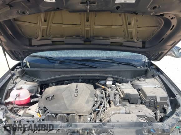 2024 Hyundai Tucson SEL with VIN 5NMJB3DE9RH310442, listed as a IAAI auction lot 41701663 with 16,018 mi miles and . Bid and sale history available at DreamBid. Image 10.