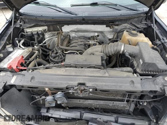 ✅ 2013 Ford F-150 XL • VIN: 1FTFX1EFXDKD57043 • Lot: 67001245. Wystawiony na Copart z przebiegiem 175 844 mil. Bezpłatny archiwum sprzedaży aukcyjnych z USA i szczegółowy raport historii pojazdu na DreamBid. Zdjęcie 11.