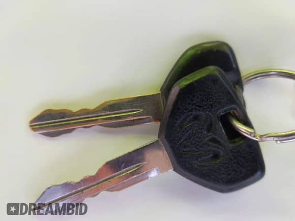 1995 Dodge Dakota z VIN 1B7GL23XXSW932961, wystawiony jako IAAI lot #43375512 z przebiegiem 456 808 mil mil oraz . Historia ofert i sprzedaży dostępna na DreamBid. Obrazek 11.