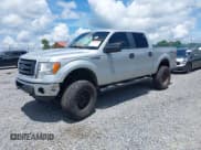 ✅ 2013 Ford F-150 XL • VIN: 1FTFW1EFXDKD09531 • Lot: 42696550. Listed on IAAI with 171,658 mi. Free auction sales archive from the USA and detailed vehicle history report at DreamBid. Image 2.