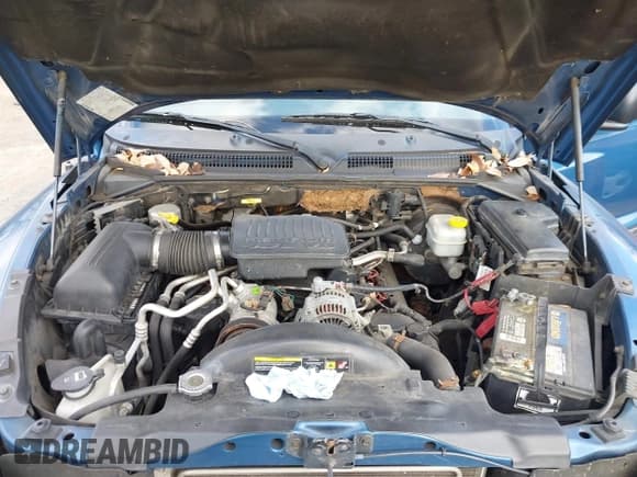 ✅ 2005 Dodge Dakota SLT • VIN: 1D7HW48N15S156395 • Lot: 43812112. Listed on IAAI with 197,234 mi. Free auction sales archive from the USA and detailed vehicle history report at DreamBid. Image 10.