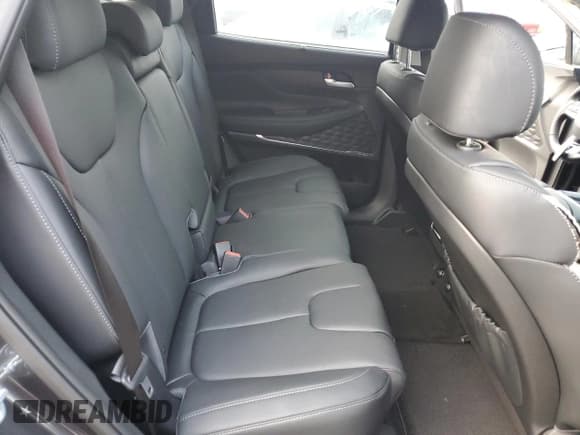 ✅ 2023 Hyundai Santa Fe SEL Premium • VIN: 5NMS3DA1XPH015856 • Lot: 74865643. Wystawiony na Copart z przebiegiem 669 mil. Bezpłatny archiwum sprzedaży aukcyjnych z USA i szczegółowy raport historii pojazdu na DreamBid. Zdjęcie 11.