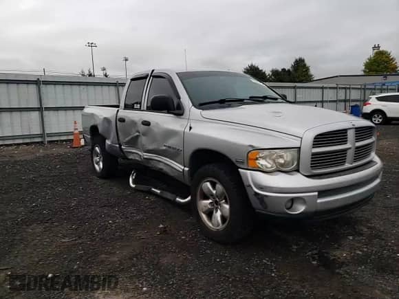 2004 Dodge 1500 SLT с VIN 1D7HU18D34S517393, выставлен на аукционе Copart как лот 72408194 с пробегом 275 589 миль миль и Списание • Salvage title. История ставок и продаж доступна на DreamBid. Изображение 11.