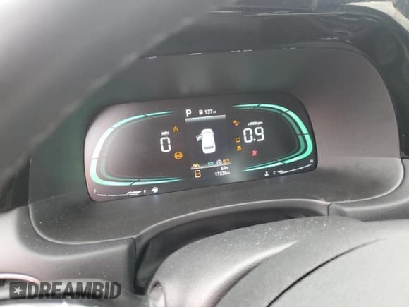 ✅ 2024 Hyundai Palisade XRT • VIN: KM8R34GE6RU789201 • Лот: 82286144. Опубликован ранее на Copart с пробегом 17 338 миль. Бесплатный доступ к архиву аукционных продаж из США и подробный отчёт об истории автомобиля на DreamBid. Изображение 9.