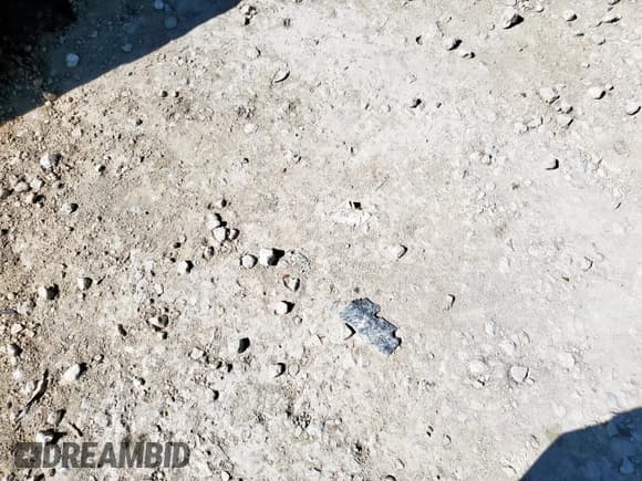 ✅ 2024 Chevrolet Express Cargo • VIN: 1GCWGAFP4R1269464 • Lot: 57891575. Listed on Copart with Not provided. Free auction sales archive from the USA and detailed vehicle history report at DreamBid. Image 5.