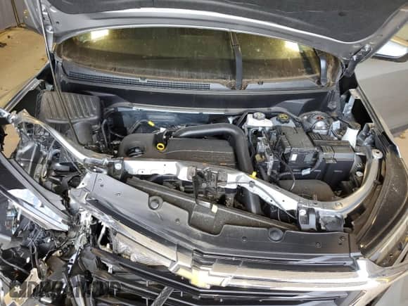 2024 Chevrolet Equinox LT with VIN 3GNAXTEG0RL243063, listed as a Copart auction lot 67084014 with 4,895 mi miles and Clean title. Bid and sale history available at DreamBid. Image 11.