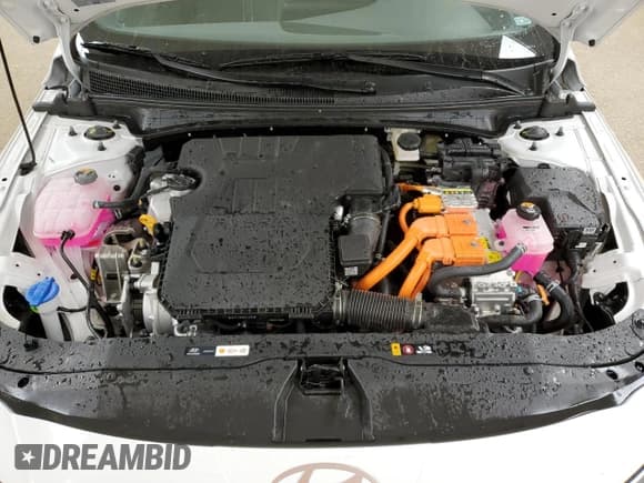 ✅ 2025 Hyundai Elantra Blue • VIN: KMHLM4DJ9SU173843 • Lot: 91677535. Listed on Copart with 8,143 mi. Free auction sales archive from the USA and detailed vehicle history report at DreamBid. Image 12.