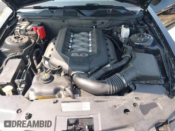 ✅ 2012 Ford Mustang GT Premium • VIN: 1ZVBP8CF2C5251013 • Lot: 42376958. Listed on IAAI with 63,474 mi. Free auction sales archive from the USA and detailed vehicle history report at DreamBid. Image 10.