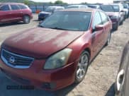✅ 2007 Nissan Maxima SE • VIN: 1N4BA41E77C843991 • Лот: 43028390. Опубликован ранее на IAAI с пробегом Не указан. Бесплатный доступ к архиву аукционных продаж из США и подробный отчёт об истории автомобиля на DreamBid. Изображение 2.