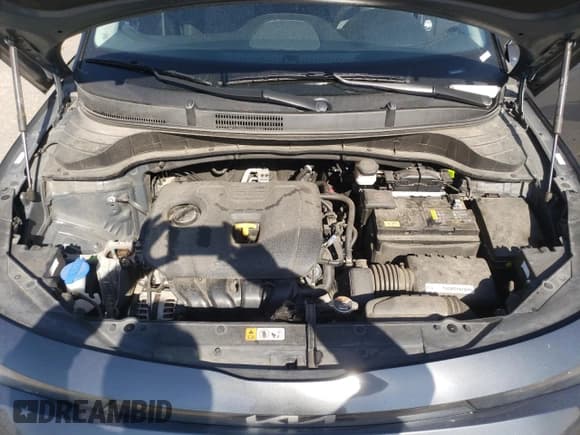 ✅ 2023 Kia Soul LX • VIN: KNDJ23AU9P7884362 • Lot: 89678845. Wystawiony na Copart z przebiegiem 50 514 mil. Bezpłatny archiwum sprzedaży aukcyjnych z USA i szczegółowy raport historii pojazdu na DreamBid. Zdjęcie 11.