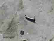 2015 Hyundai Genesis 3.8L z VIN KMHGN4JEXFU089588, wystawiony jako Copart lot #79562104 z przebiegiem 59 439 mil mil oraz Nie do naprawy • Non repairable. Historia ofert i sprzedaży dostępna na DreamBid. Obrazek 12.