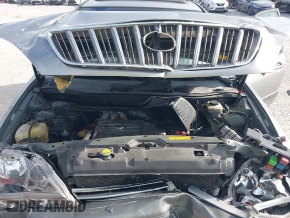 ✅ 2002 Lexus RX 300 • VIN: JTJGF10U120147322 • Lot: 43789608. Listed on IAAI with 184,120 mi. Free auction sales archive from the USA and detailed vehicle history report at DreamBid. Image 10.