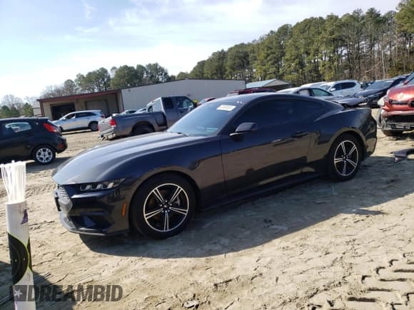 ✅ 2024 Ford Mustang EcoBoost • VIN: 1FA6P8TH2R5105523 • Лот: 43903524. Опубликован ранее на Copart с пробегом 8 213 миль. Бесплатный доступ к архиву аукционных продаж из США и подробный отчёт об истории автомобиля на DreamBid. Изображение 1.