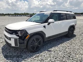 ✅ 2024 Hyundai Santa Fe Calligraphy • VIN: 5NMP5DG19RH004891 • Lot: 67992585. Listed on Copart with 16,956 mi. Free auction sales archive from the USA and detailed vehicle history report at DreamBid. Image 1.